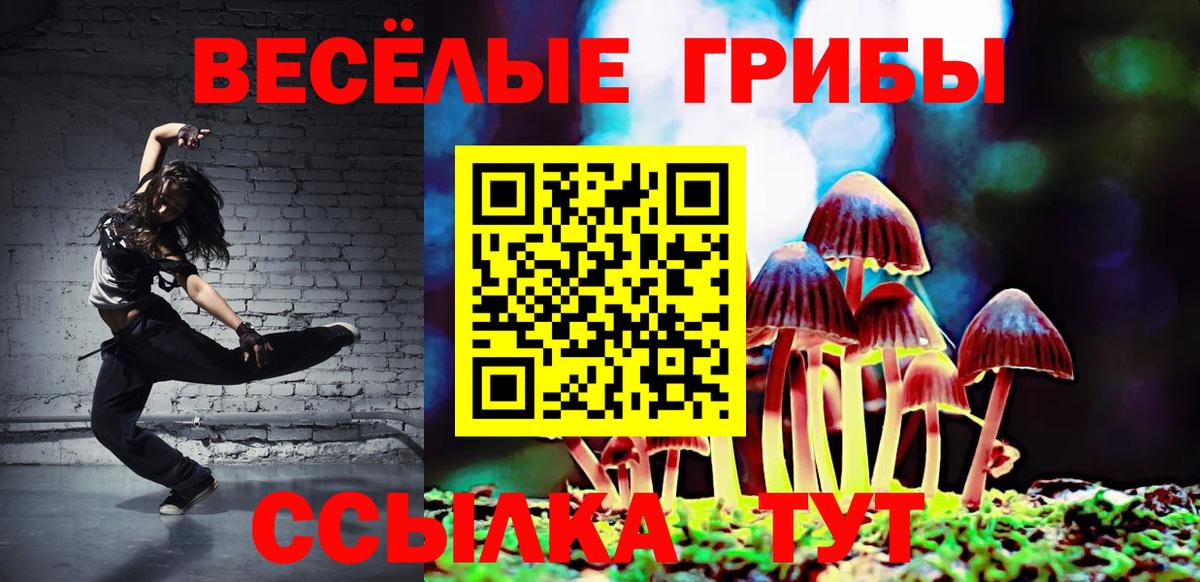 Черняховск  Галлюциногенные грибы GOLDEN TEACHER  Галлюциногенные грибы ЛСД  Вход с VPN 
