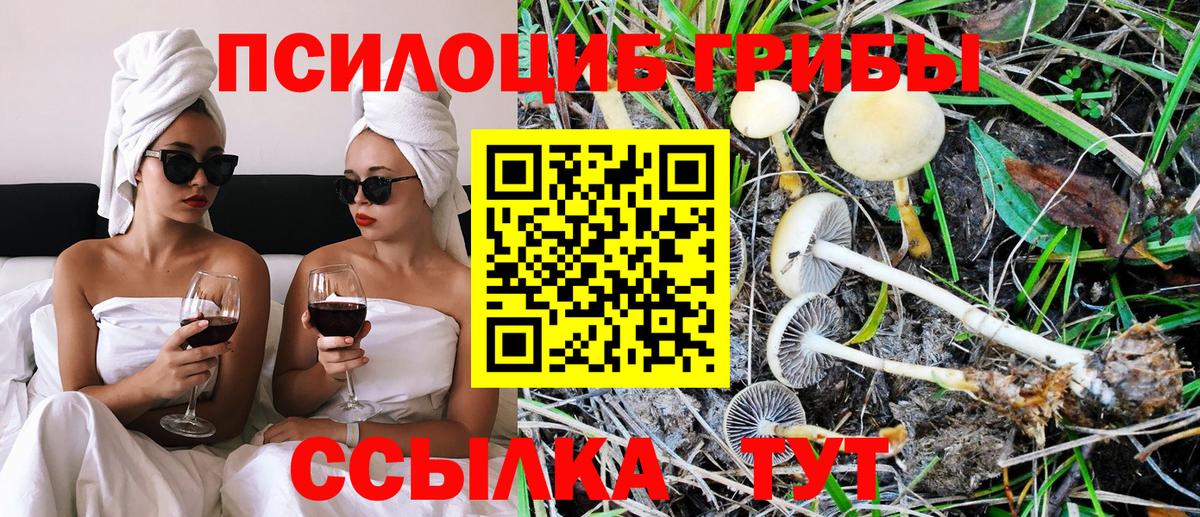 Псилоцибиновые грибы ЛСД Черняховск